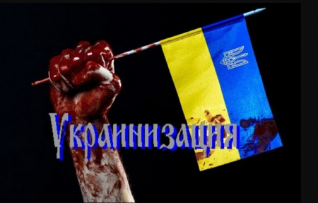 Крымский постпред в СПЧ: Женева, разберись с языковой сегрегацией на Украине!