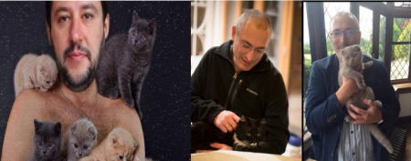 «Котизация» либерального движения, или Зачем Ходорковский и Соболь на публику милуются с котиками