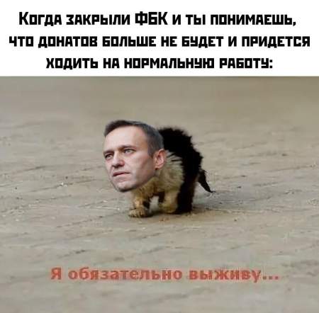 По мнению Осташко, Навальный пострадал из-за своих же фейков