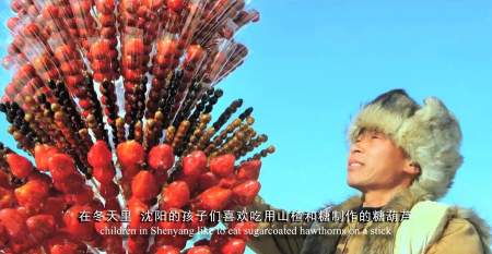 В День развития Шэньяна для зарубежных СМИ организовали виртуальный тур