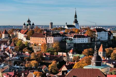 Эстония может поплатиться за попытку разозлить Россию