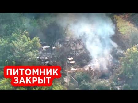 Российская артиллерия раздавила в Питомнике 100 боевиков  «Кракена»