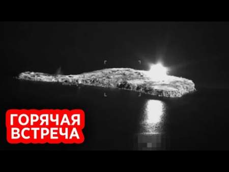Российский Су-24 сжег спецбомбами высадившийся на Змеином десант ВСУ