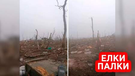 Российская артиллерия выкосила лес вместе с прятавшимися там войсками ВСУ