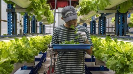 Посол России рассказал об интересе бизнеса к трудовым мигрантам из Индонезии Посол России рассказал об интересе бизнеса к трудовым мигрантам из Индонезии